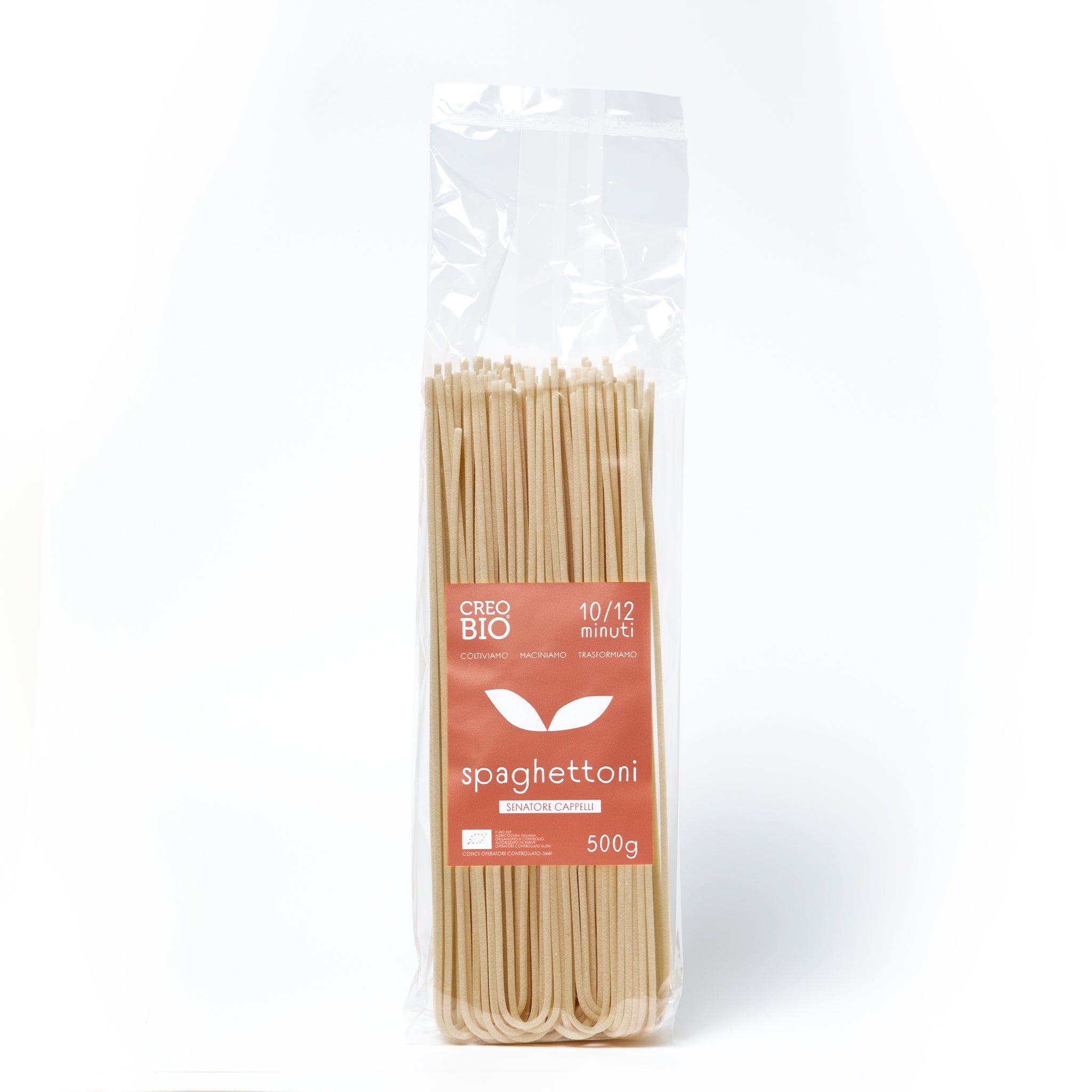Spaghettone - CREOBIO